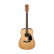 Fender CD-60 Dreadnought V3 DS Acoustic Guitar, Walnut FB, Natural