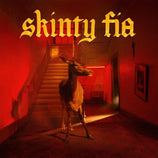 Skinty Fia - Fontaines D.C. (Vinyl) (ON)