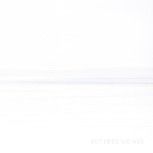 But Here We Are - Foo Fighters (Vinyl) (ON)