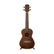 Harmony Foundation Series Sierra Classic Concert Ukulele, Natural Satin