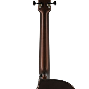Rainsong APSE Al Petteway Special Edition Acoustic Guitar, 1XXXX